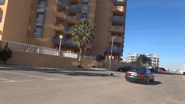 Audi S8 D2 Sound & und der Schwarze Kater смотреть онлайн