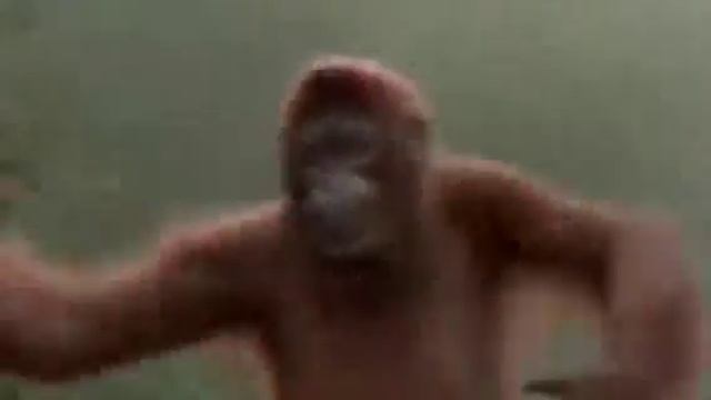 Танцует макака 🎤🎵🎶🎶🙉😹😹😹 смотреть онлайн