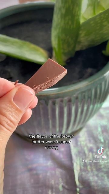 Brown Butter Milk Chocolate taste test! #food #tastetest #foodie #chocolate смотреть онлайн