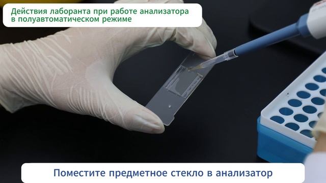 D-wise: Руководство по использованию анализатора морфологии с искусственным интеллектом от Dymind