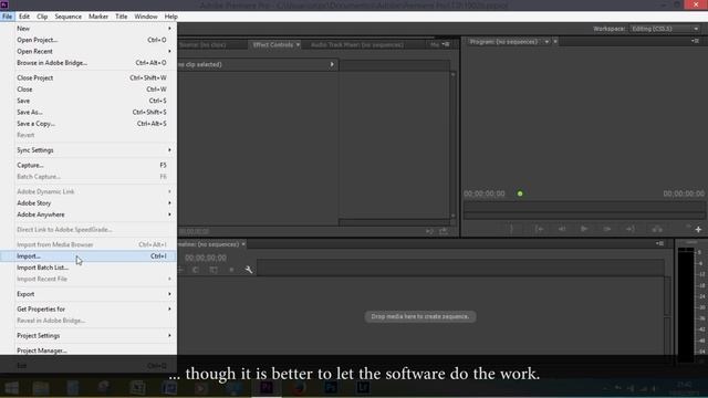 How to extract EVERY frame from a video clip in Premiere Pro. смотреть онлайн