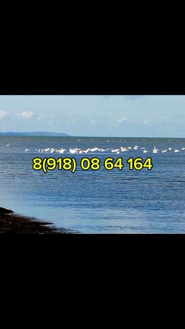 Продается участок на берегу моря(Темрюкский район) смотреть онлайн
