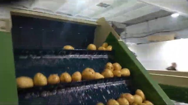 обработка овощей картофеля оборудование линия смотреть онлайн