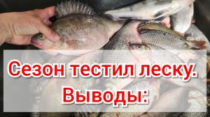 Выводы по леске после сезона ловли. Леска DAYO Ninja