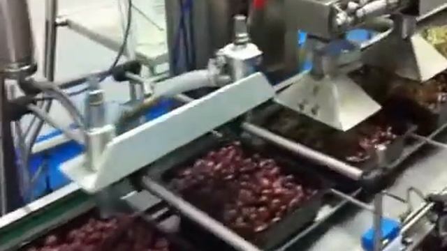 Автоматический запайщик контейнеров Polaris Duetto Vac Olives