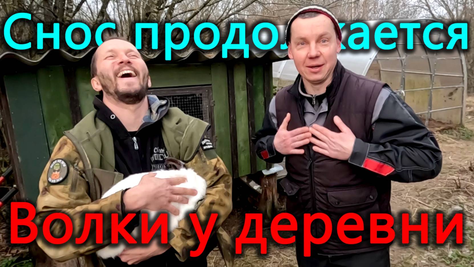 За деревней были замечены следы волка. Продолжаем снос сарая. Кровлю в землю. смотреть онлайн