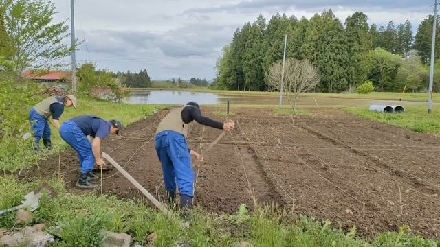 【古民家再生147】目指せ自然農! 古民家の庭に畑を作ります【畝づくり編】 Restoration of old houses and country life смотреть онлайн