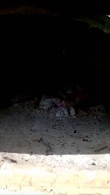 Наивкуснейший карп фаршированный. Всегда получается! #карп #рыба #выходные #семья #отдых