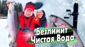 Как правильно действовать и искать форель на Безлимите