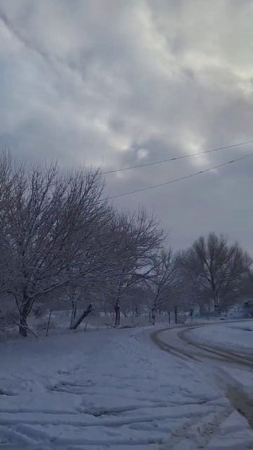 Түлкібас ауданы Машат ауылы .( Колхоз жамбыл ) смотреть онлайн