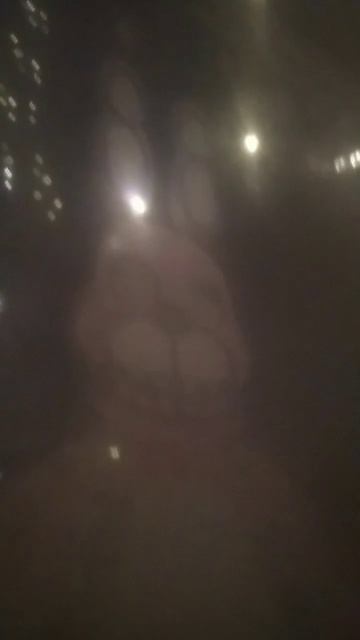 мое окно ночю и аниматроники кстати помните фредди из фнаф 0