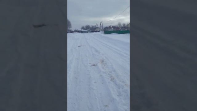 СПОНСОРЫ,В СНТ, СОКОЛЬНИКОВО МЫ, ЛЕСНАЯ смотреть онлайн