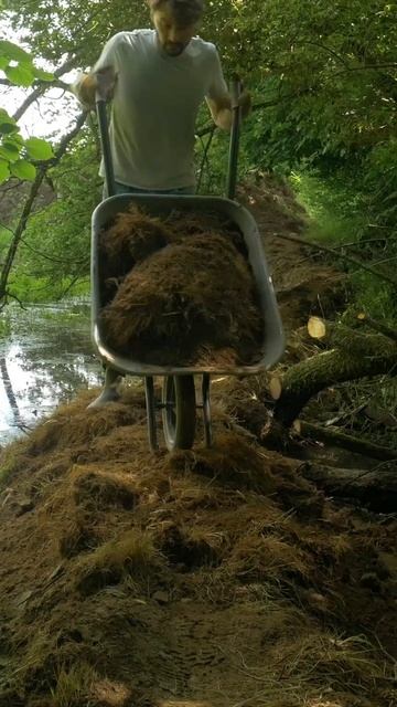 On recrée une berge au bord de la mare - RECAP.04 #mare #marenaturelle #naturelovers #pondbuild смотреть онлайн