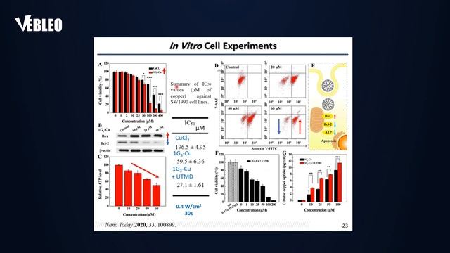 Donghua University | Prof. Xiangyang Shi | China | Lecture | #Vebleo смотреть онлайн