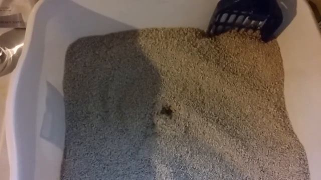 Smart Cat All Natural Kitty Litter Review