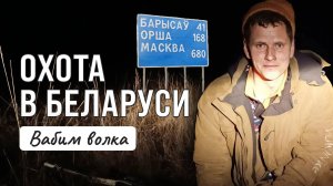 Охота на волка на вабу, Взяли вожака на третью ночь.