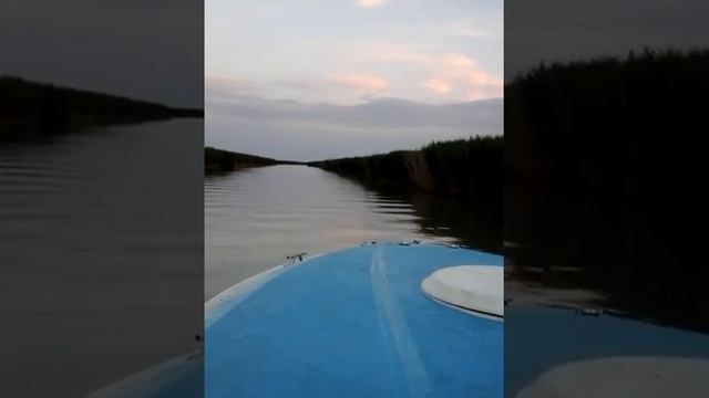 По реке Иир от Колтуха до Завидово! смотреть онлайн