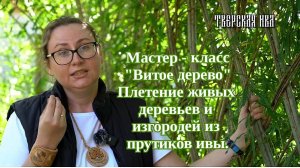 Тверская ива. Живое плетение из ивы. Мастер-класс "Плетение Витого дерева".