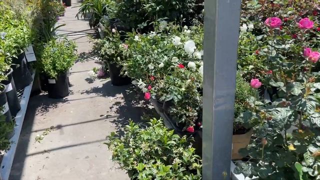 Огородники на закупке в Home Depot // Немножко Costco // Влог США смотреть онлайн