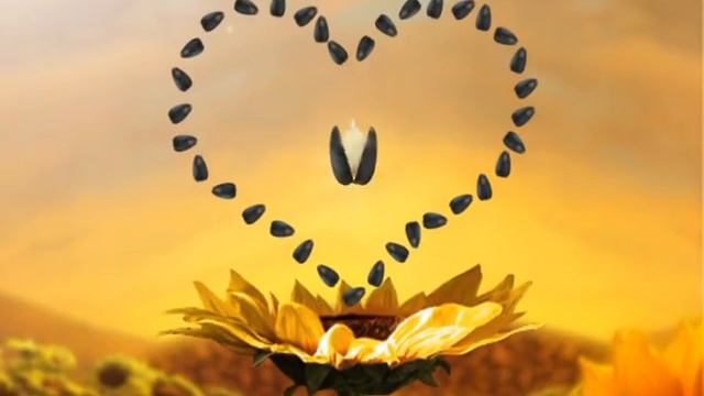 Semetschki Beloserskie Семечки Белозерские