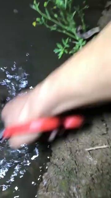 Catching Eel with Plier 🐟🐟 #Shorts Copy смотреть онлайн