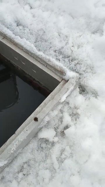 домик из эппс на пруду. смотреть онлайн