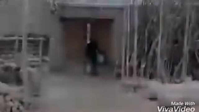 Есть хороше люди если понравится лайк смотреть онлайн