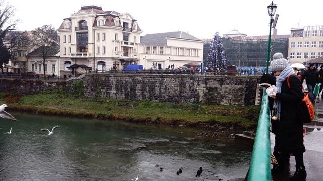 18.12.2015 / Дикі качки і чайки / м.Ужгород смотреть онлайн