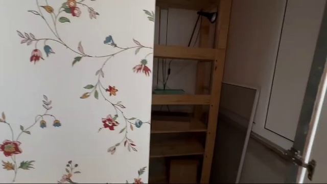 WhatsApp Video 2025-03-12 at 14.39.33 смотреть онлайн