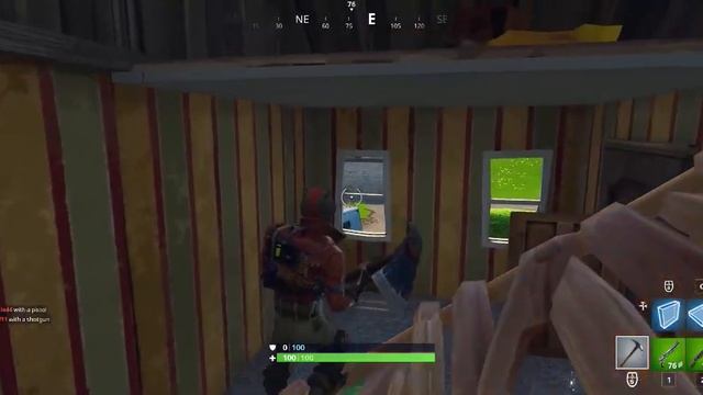 KoalaOtter Named This...