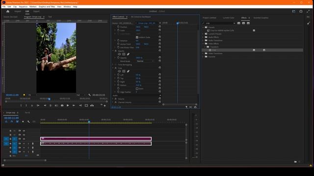 Master Video Cropping In Premiere Pro In 3 Minutes!