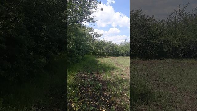 видео Юбилейная 8