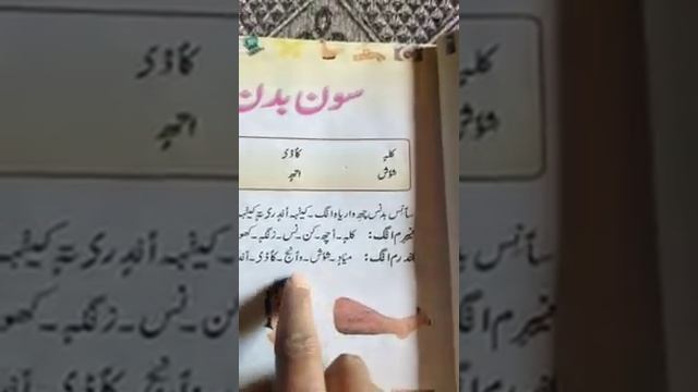 Kashmir 3rd Topic soon badan Mohd Shafi Mir PS Mukdam Mohalla Haripora смотреть онлайн
