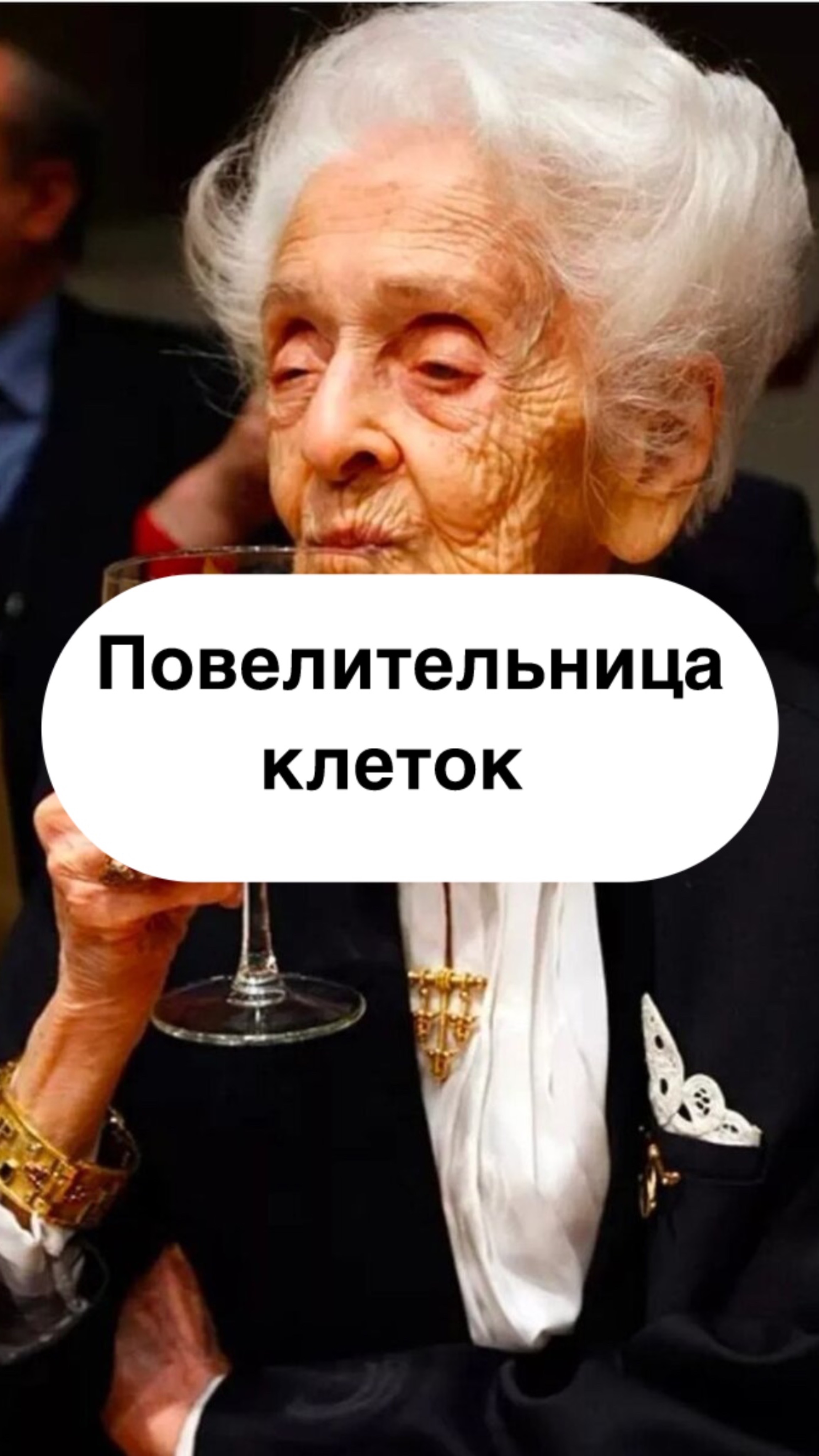 -9177987869098350542