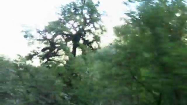 По дороге с Озера Рица (Часть 2)