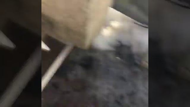 Баран целиком на вертеле смотреть онлайн