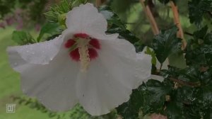 Ложусь я, сплю и встаю, ибо Господь защищает меня. Слово Библии перед сном.