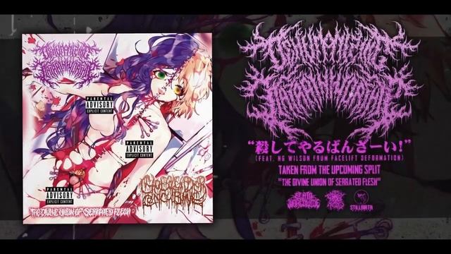 CHEERLEADER CONCUBINE / DEHUMANIZING ITATRAIN WORSHIP - TWO TRACK [SPLIT PREVIEW] (2018)