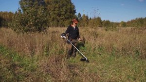 Мощные аккумуляторные косы Caiman: сравниваем с бензиновыми