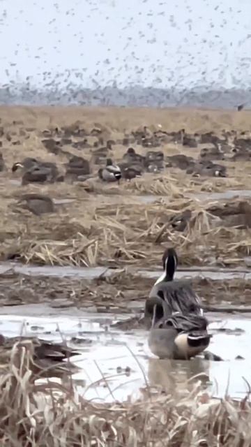 April 11, 2023 смотреть онлайн