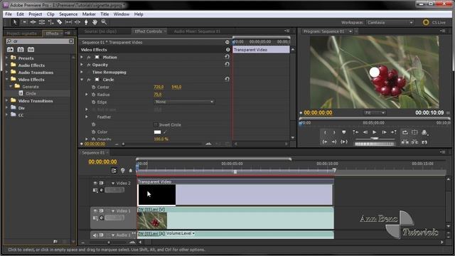 Quick Vignette - Premiere Pro смотреть онлайн