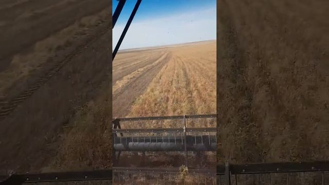 Уборка льна смотреть онлайн
