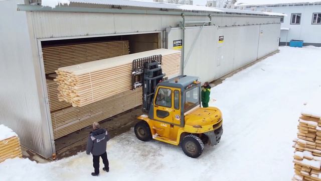 Forest Group за 60 секунд смотреть онлайн
