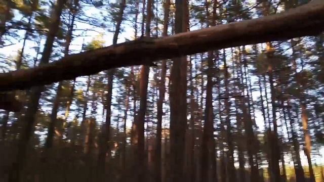 Домик на дереве #1 смотреть онлайн