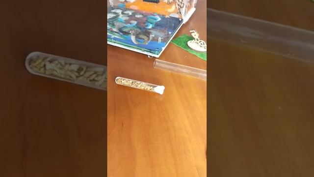Мурашиний корм смотреть онлайн
