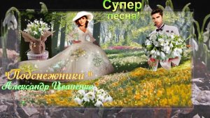 "ПОДСНЕЖНИКИ" АЛЕКСАНДР ИВАНЕНКО ПРЕКРАСНАЯ ПЕСНЯ