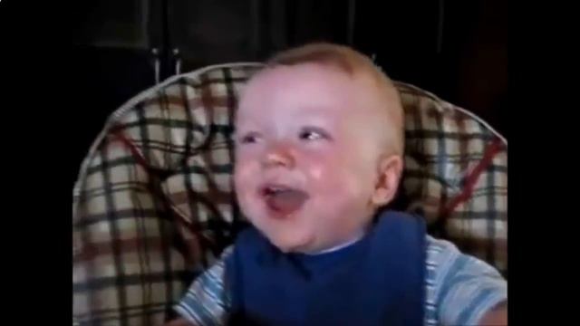 Детские приколы с животными938