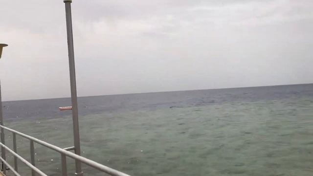 Пляж отеля Sheraton Sharm Main Building