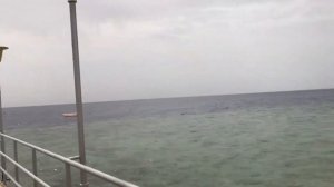 Пляж отеля Sheraton sharm main building