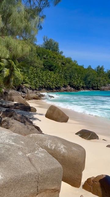 Seychelles beach #seychelles #paradise #ocean #beach смотреть онлайн